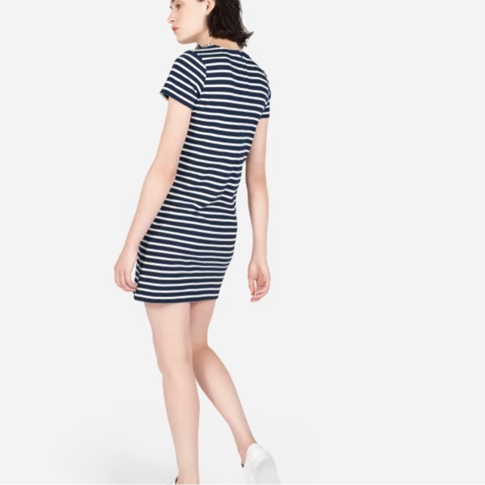 Everlane Gia mini stripped dress
